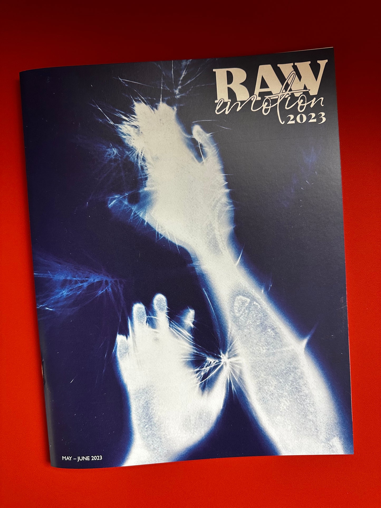 Raw Emotion 2023 Catalog/Magazine